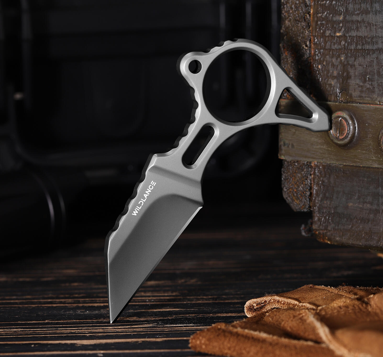 EDC Fixed Blade Knife with Sheath, Camping Knife Fixed Blade 2.2" Outdoor Survival Blade Full Tang Hunting Knives for Men Women IB-04