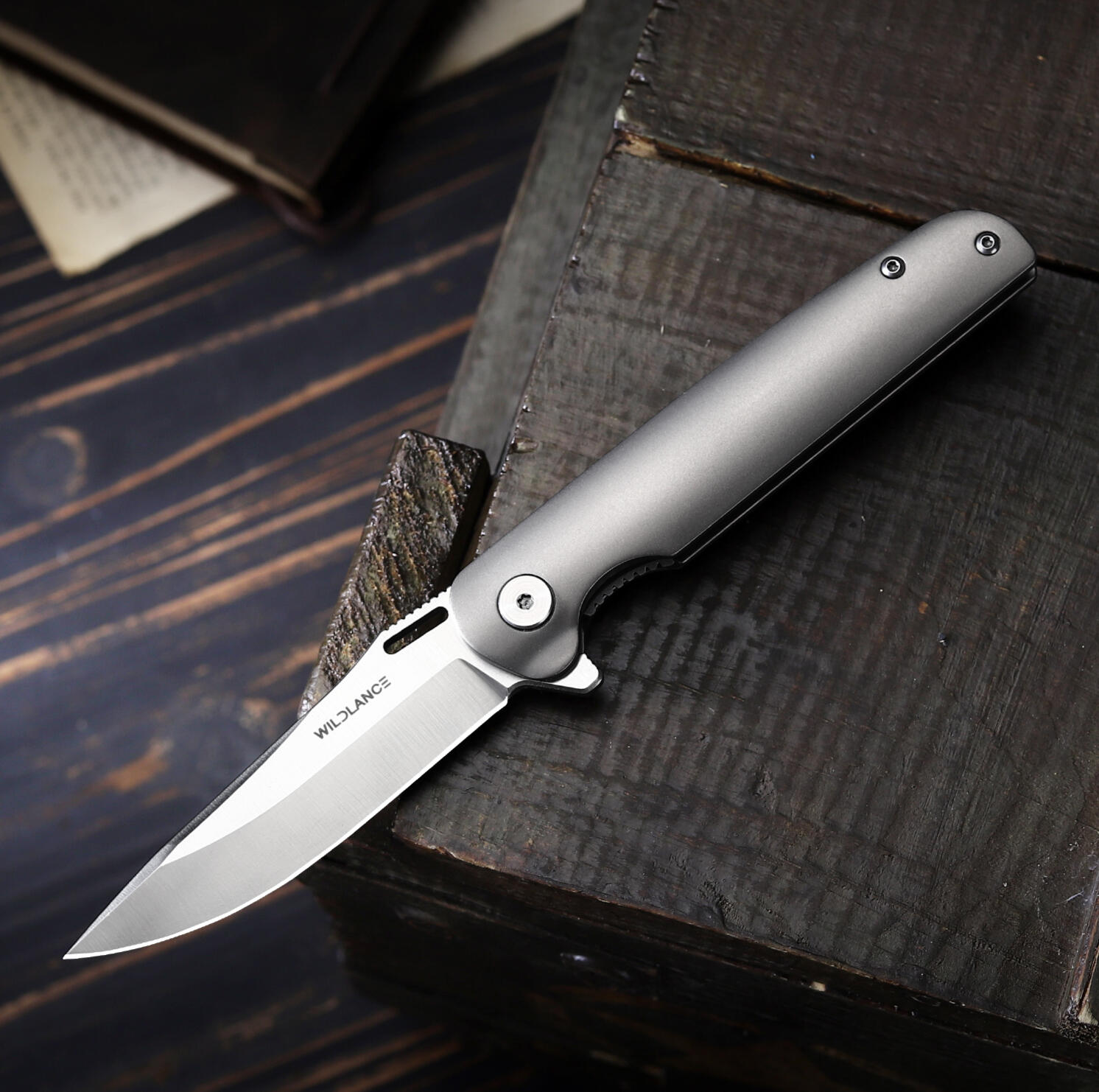 3.2" D2 Steel Blade Titanium Handle Pocket Knife, EDC Folding Knife with Liner Lock