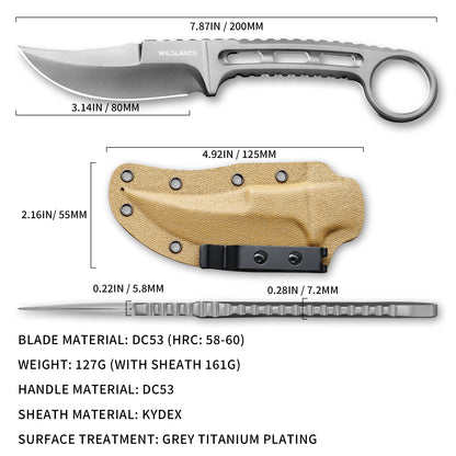 Caelus | Full Tang DC53 Blade | Titanium PVD Finish | Kydex Sheath | IB-05