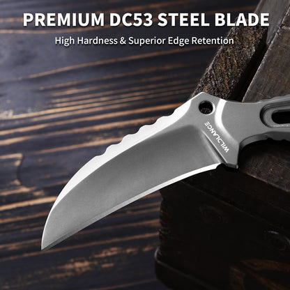 Talon | Full Tang DC53 Blade | Titanium PVD Finish | Kydex Sheath | IB-03